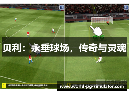 贝利：永垂球场，传奇与灵魂