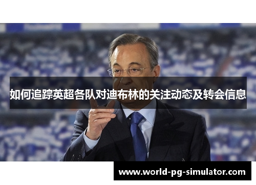 如何追踪英超各队对迪布林的关注动态及转会信息